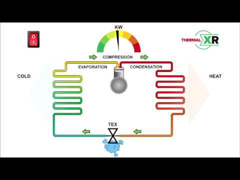 youtube - [Video]