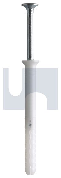 MUN-5_50_2