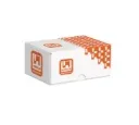 M10 Hex Nut HDG (200pk)